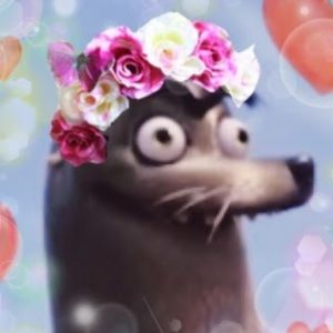 Meet your Posher, Nikki